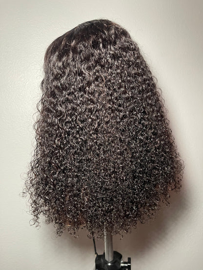 20” Virgin Curly HD Lace Wig | Pre-Plucked & Styled | Glueless